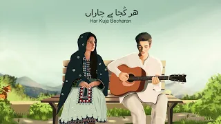 Mana Makan Tao Behal New Balochi Song 2023 | Hayder Ali