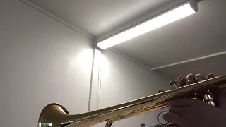 How to play “Mexican Jumping Beans” on a trumpet