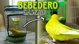 Como hacer un bebedero casero para periquito y agapornis | Animal Tropic