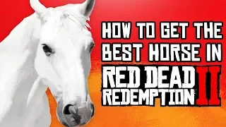 Red Dead Redemption 2 | How to Get the BEST Horse (Fast & Easy Guide)