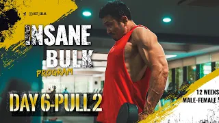 INSANE BULK "DAY 6- PULL- 2"- 12 weeks Muscle Building Program [FREE] Designed By Jeet Selal