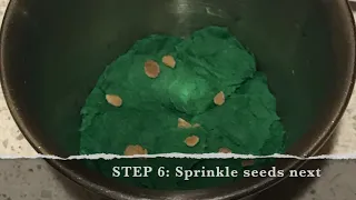 Make seed bombs in honor of Earth Day