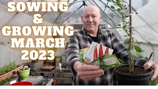 Sowing & Growing March 2023 [Gardening Allotment UK] [Grow Vegetables At Home ]