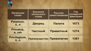 Латинские слова в русском языке