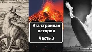 Худший год в истории/Гиндебург/Жеводанский зверь.  Эта странная история - Часть 3