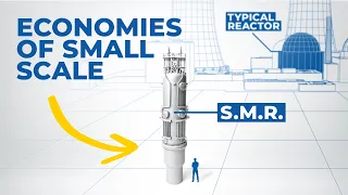 The Uncertain Future of Nuclear Power