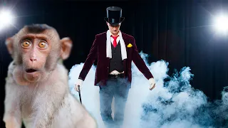 🐒Truco de MAGIA a un MONO🎩 (Hechos reales)