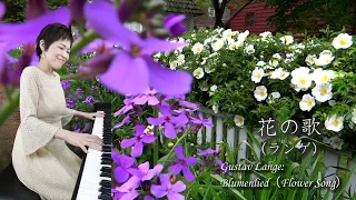 花の歌（ランゲ作曲） ピュアニスト・石原可奈子 [ピアノソロ] : Blumenlied（Gustav Lange）, Kanako Ishihara [Piano Solo] Flower Song
