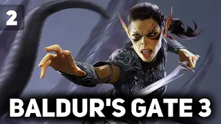Очень понравилась 🧙 Baldur’s Gate 3 [PC 2023] #2