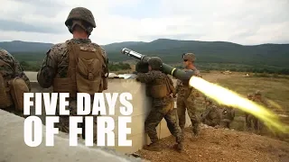 Five Days of Fire