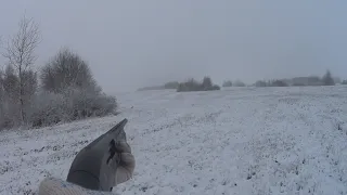 Первый снег. Точный выстрел. И первый заяц в сезоне.