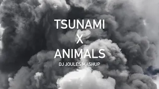 Martin Garrix- Animals Vs. DVBBS- Tsunami (DJ Joules Mashup)
