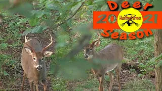 My PA Opening Day Buck: My Best Archery Hunt EVER?!? Self-Filmed Saddle Bowhunting Whitetail Ep.2