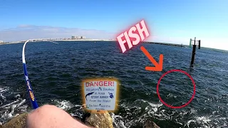 EP.36 Fishing the Perdido Pass Seawall and Jetty in Orange Beach | Can't Believe I Lost This FISH!!!