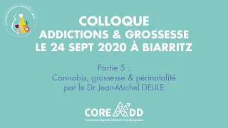 Colloque Addictions & Grossesse - Partie 5 Cannabis, grossesse & périnatalité - 24 sept 2020