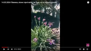 14.05.2024 Півники, піони гарні квіти, як буде по вірменському.