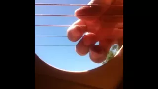 iphone 4 inside a guitar oscillation! VERY GOOD!