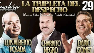 Luis Alberto posada- charrito negro- Darío Gómez- la tripleta del despecho MC - Popular Oficial