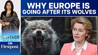 Why EU Chief Ursula Von Der Leyen is Waging a War on Wolves | Vantage with Palki Sharma