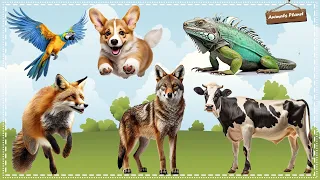 Cute Little Animals Making Funny Sounds: Parrot, Puppy, Iguana, Fox, Wolf, Cow