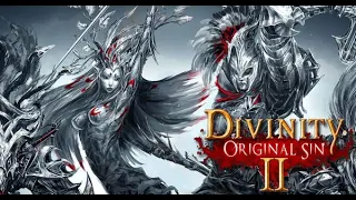 Divinity Original Sin 2 DE Puritans Walk Achievement ****EASY****