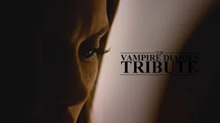 The Vampire Diaries | It's what made us family (Tribute)