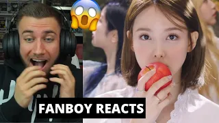 I WASNT READY FOR THIS 😳🤯🍭 TWICE "MORE & MORE" M/V - Reaction