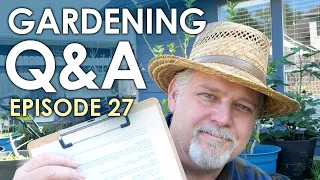 Gardening Q&A Episode 27 || Black Gumbo