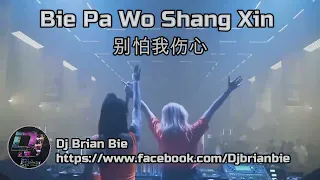 Bie Pa Wo Shang Xin 别怕我伤心 Remix By Dj Brian Bie Trending Tiktok Song