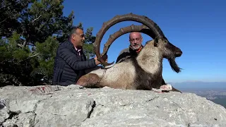 Taurus Safari Bezoar ibex hunt in Turkey