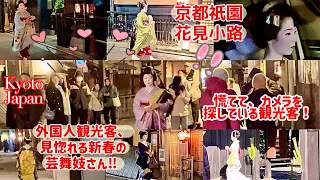 🇯🇵[舞妓•芸妓さん]外国人観光客も見惚れる新春の芸舞妓さん!京都の祇園花見小路に、芸舞妓さんが突然現れたので、慌ててカメラを探している観光客がいました! Maiko, Kyoto, Japan.