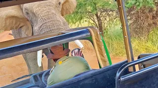 Elephant Picks up and Throws Truck full of Tourists