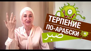 Терпение по-арабски! Сабр – истинное значение слова