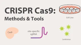 2) CRISPR Cas9 - Methods and Tools