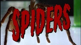 Spiders - Good Bad Flicks