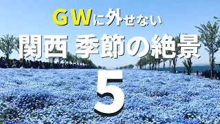 【関西】ゴールデンウィークに行きたい季節の絶景スポット５選