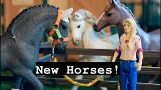 New Horses at Silver Star Stables! - Short Schleich Movie