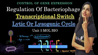 Lytic vs Lysogenic Cycle Switch I Regulation Of Phages I Control Of Gene Expression I Lambda Phage