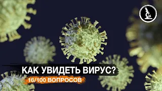 САМЫЙ МОЩНЫЙ МИКРОСКОП В МИРЕ. КАК УВИДЕТЬ ВИРУС, АТОМЫ?