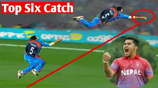 Top six Catch by Nepali Cricketer || Cricket Catch || Nepal Cricket Team ||