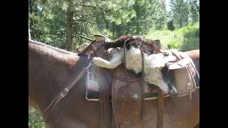 Wolf Management in Idaho