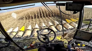 New Holland CR 10.90 - CAB VIEW | Corn Harvest 2018 | Mais Dreschen 2018