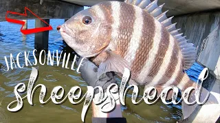 Sheepshead fishing DOCKS. Fishing Jacksonville Florida with The Reel Cambodian Angler