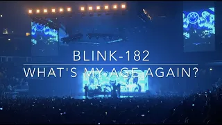 Blink-182 - "What's my age again"