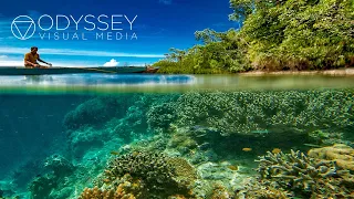 Hawaii's Coral Reef System | Hawaii Documentary 4k