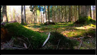 Sehr schöne Trailtour im Nord Saarland | Teil 1 von 2