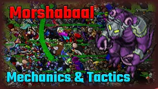 Morshabaal explanation of mechanics and tactics - Tibia 2023