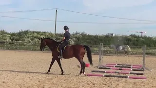 Schooling Dressage and show jumping together