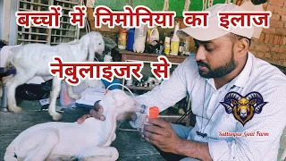 बकरी के बच्चों में निमोनिया का इलाज नेबुलाइजर से #goatfarming #bakramandi #bakripalan