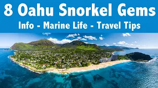 Our TOP 8 Oahu Snorkel Spots - Everything you need to know!